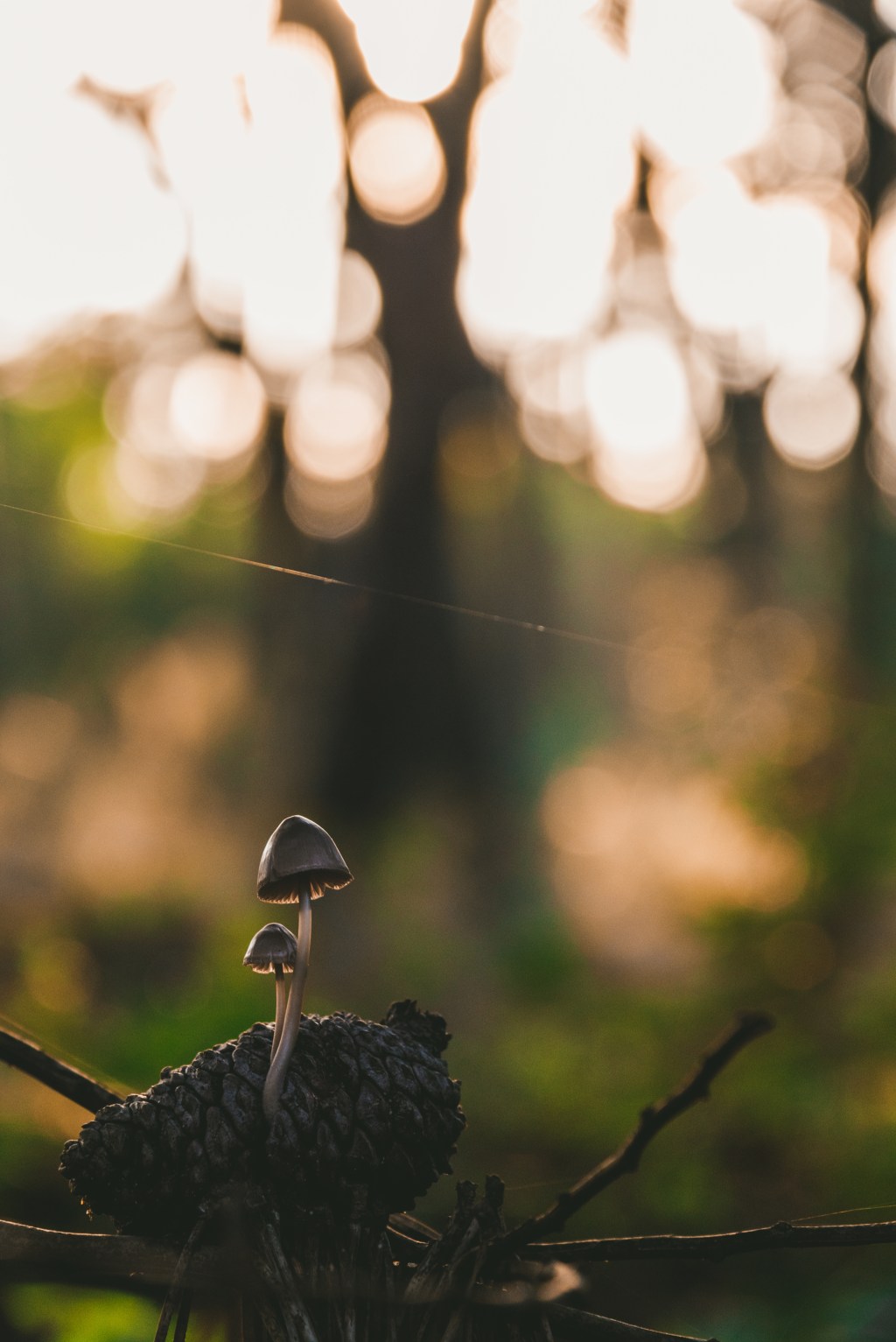 Honnan tudhatjuk, hogy Isten tényleg jelen van egy keresztény&nbsp;közösségben?